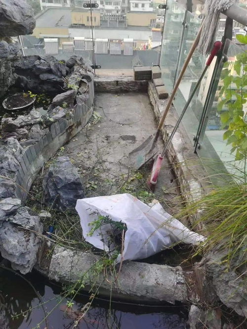 防偽升級與標準革新 家裝防水行業的品質進階之路